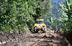 PEAM mejora vías de acceso para agricultores de Flor de Primavera