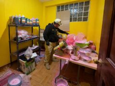 Decomisan más de 800 mil pastillas de éxtasis y 55 kilos de MDMA en operativo contra el tráfico de drogas sintéticas