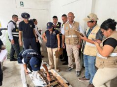Mininter refuerza control de armamento a nivel nacional: Sucamec incauta 8800 municiones en Piura