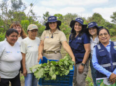 Midis y PMA supervisan en Sechura innovador modelo que conecta la alimentación escolar con la agricultura familiar