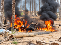 Duro golpe contra la minería ilegal en Madre de Dios