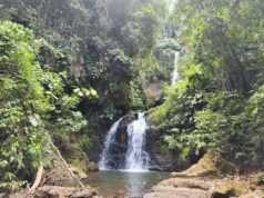 Cascada Paima proyecta nuevas oportunidades para el turismo en San Martín