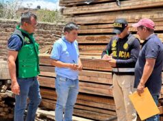 Unidad de Gestión Forestal y Policía incautan más de 600 pies tablares de madera de ilegal