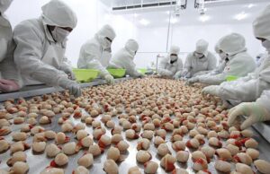 Exportaciones de las regiones del interior del Perú crecen 38% entre enero y agosto de 2026 y superan los US$ 64 mil millones