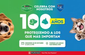 ¿Buscas un plan petfriendly? Purina celebra sus 100 años con actividades gratuitas para familias y mascotas